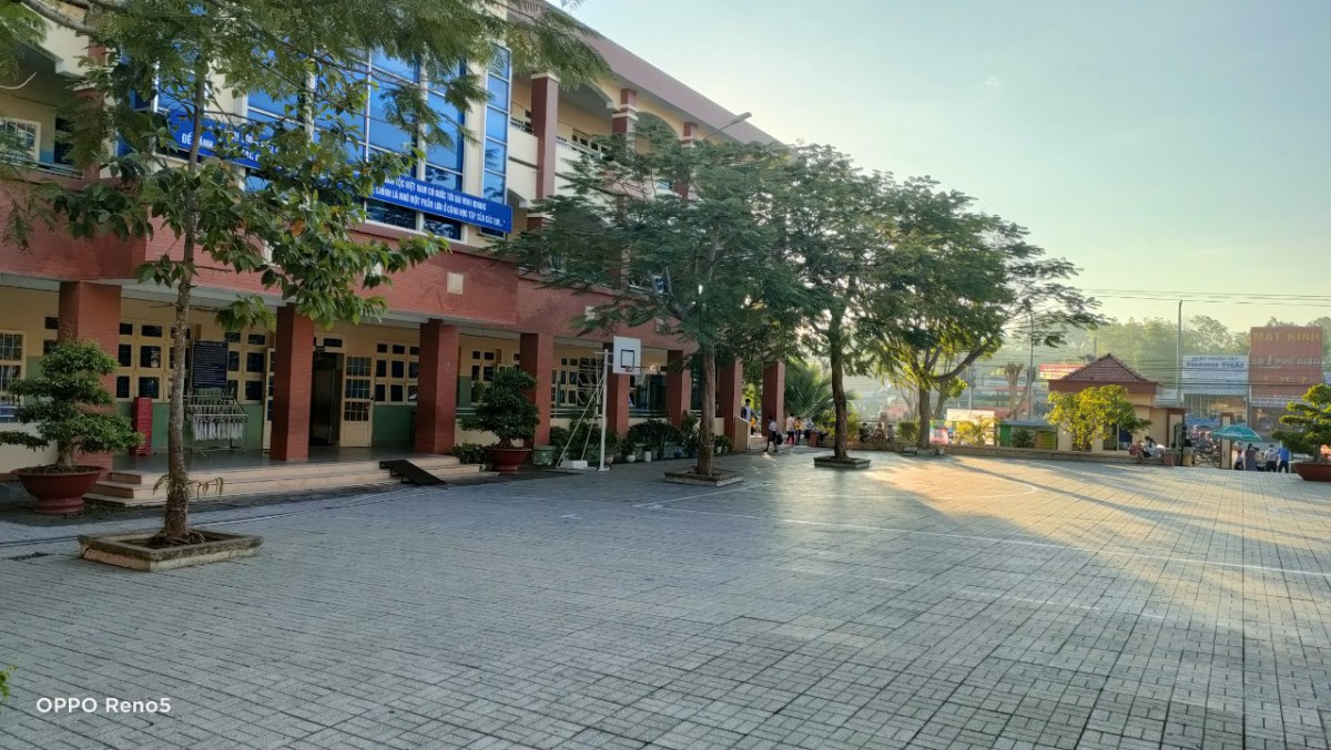 454bb6e5b424477a1e359