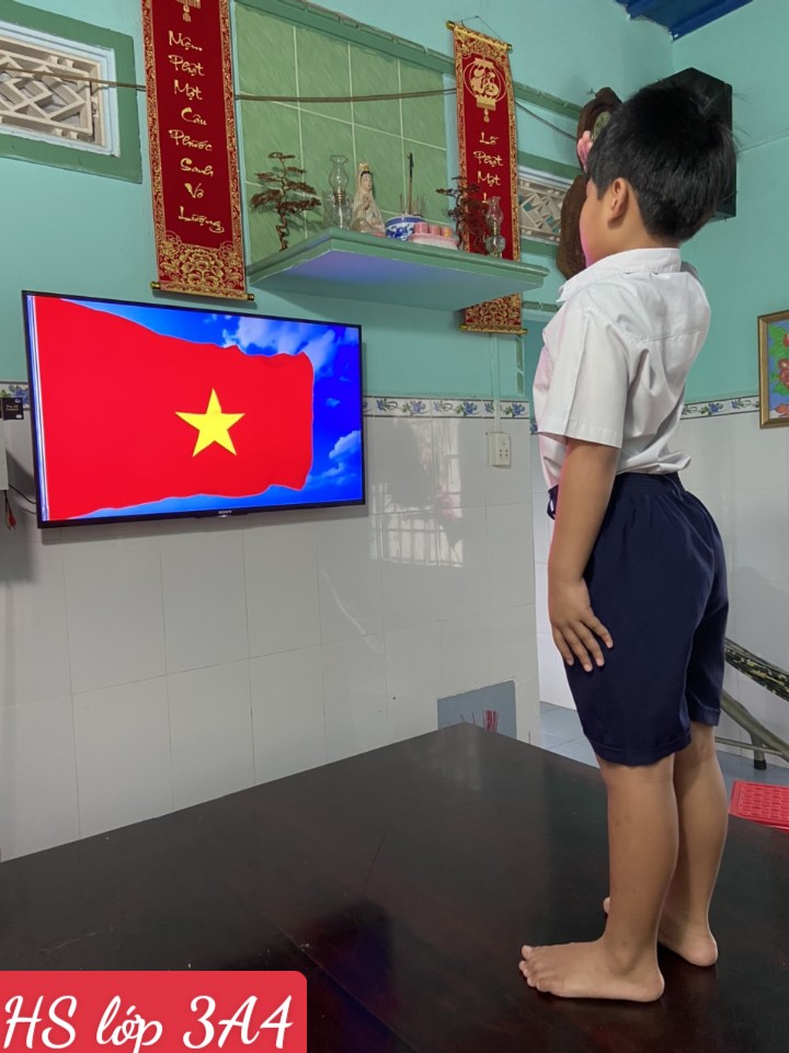 cb7778a8934e65103c5f